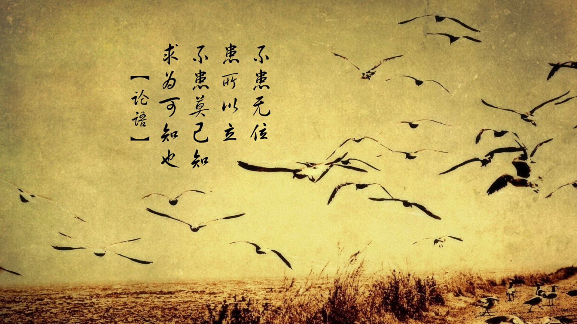 以足球为主题的文化产业项目不断创新发展，关于足球文化的征文600字作文
