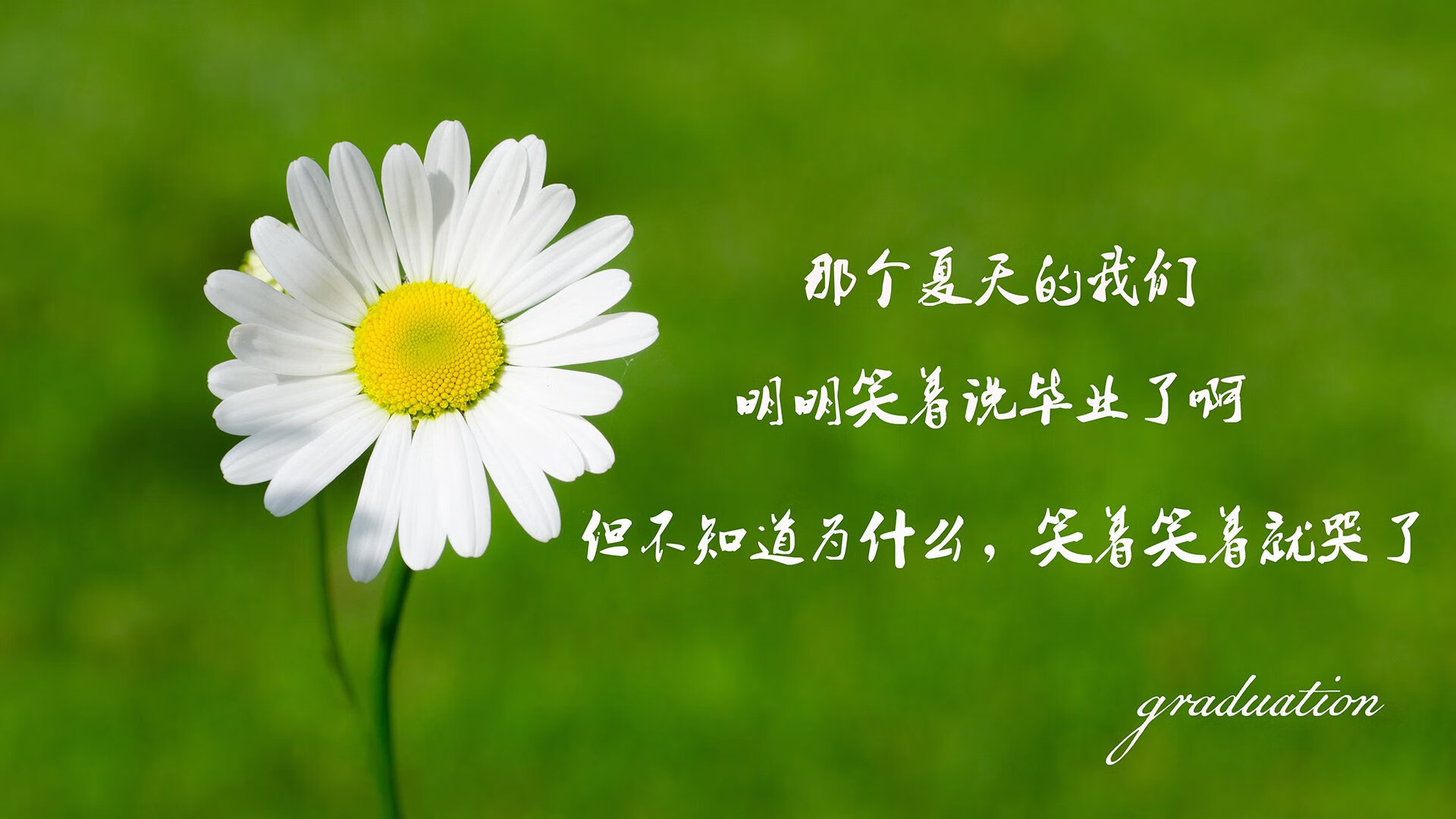 墨西哥球迷远赴芬兰，为冬奥足球喝彩，墨西哥足球队