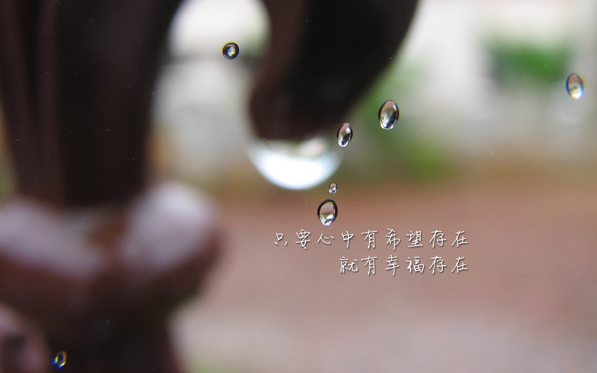国际田径赛事北京站吸引全球顶级选手参赛，国际田径比赛最新规则