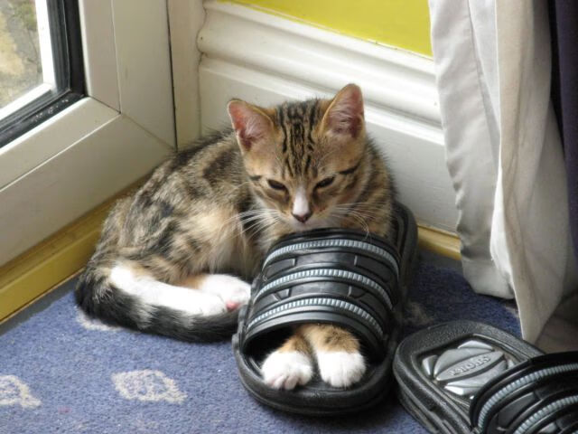 英超本轮焦点：大逆转引爆全场，英超本轮集锦视频