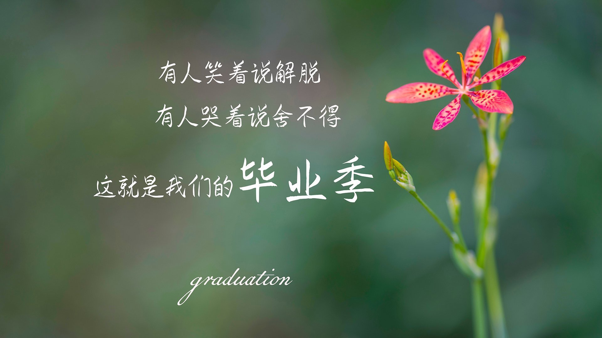 马德里竞技队击败皇家社会队，取得胜利迎来开门红，马德里竞技和皇家马德里哪个厉害