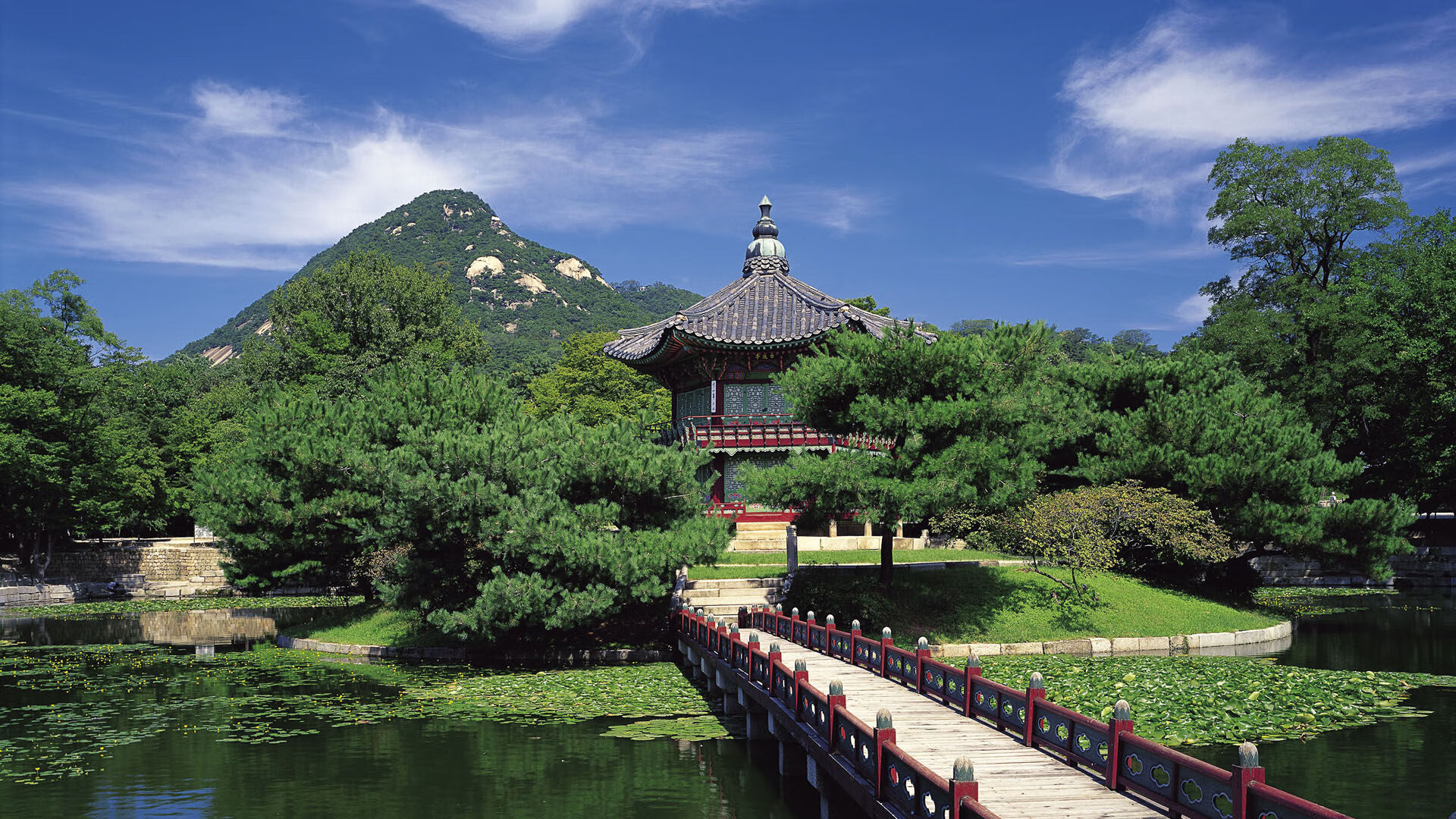 中国女篮在技术会议上积极讨论战术细节，中国女篮战术分析