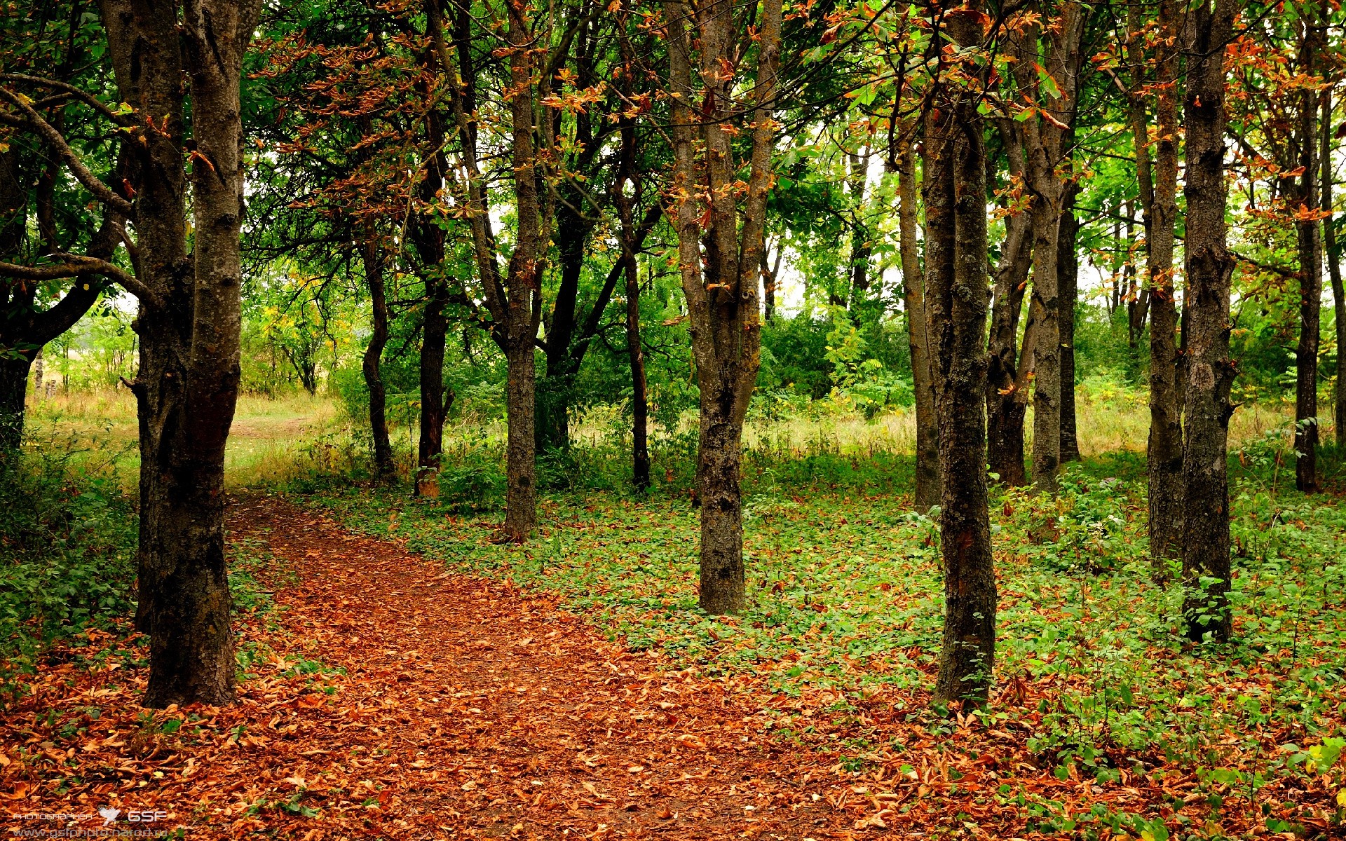 五大联赛门将扑救风格是否因战术演化而改变，门将十大扑救