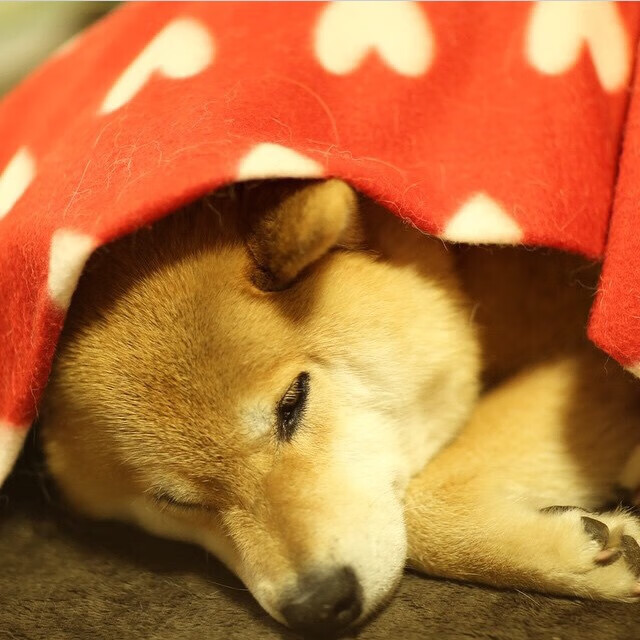 掩护后球员持球节奏变化是否能扰乱协防，篮球后掩护