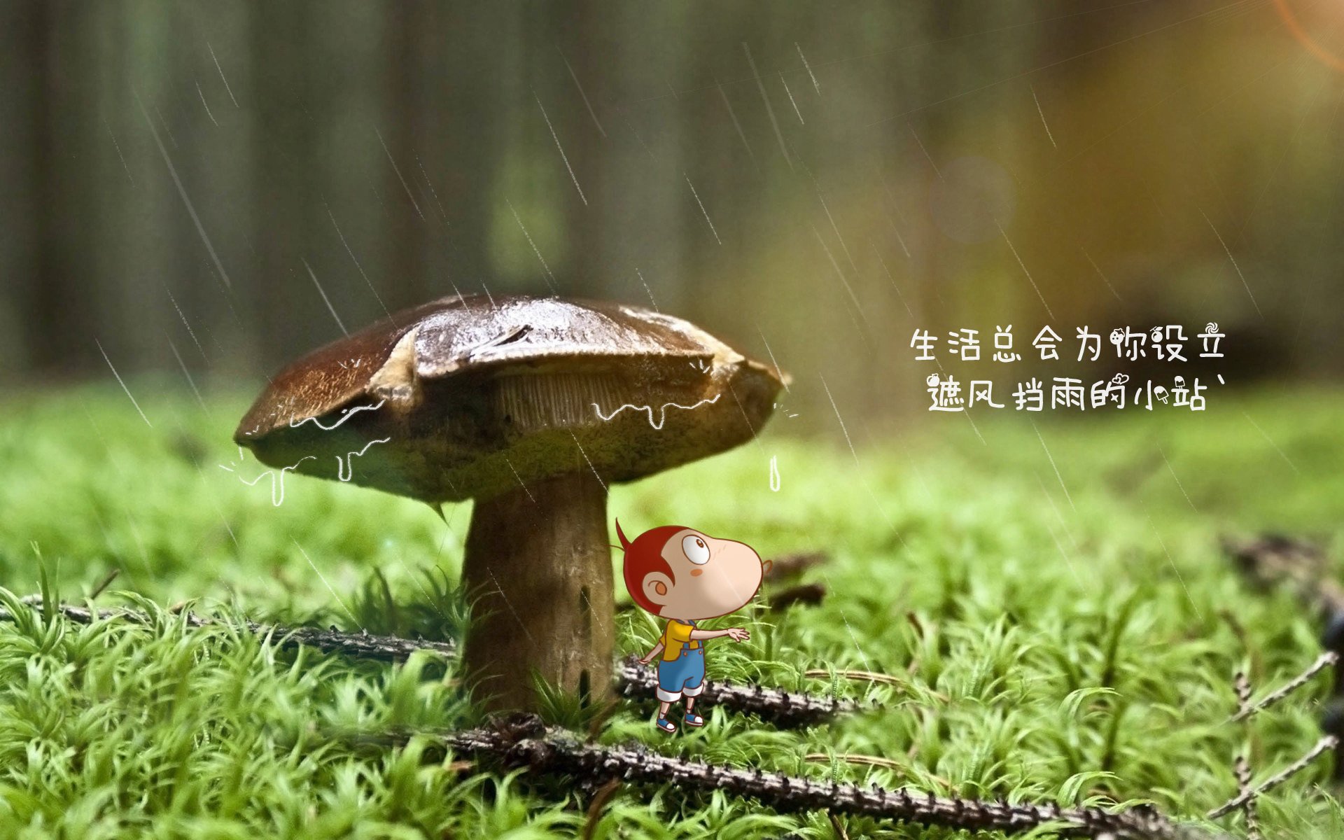 体育公益项目助力乡村发展，体育公益活动