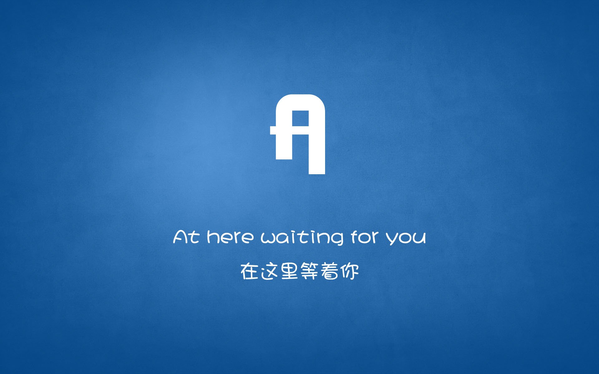 美洲杯血拼赛事：拼搏到底，精彩不断，美洲杯讲解