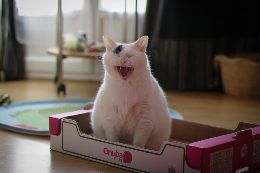 西甲史诗盛宴：破门、过人、扑救统统精彩绝伦，西甲门将扑救成功率