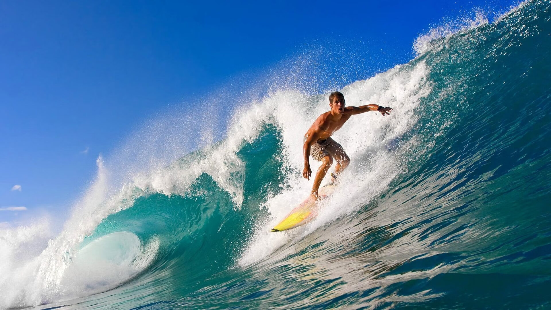 特色足球旅游资源深度融合，带动区域经济高速增长，足球特色园