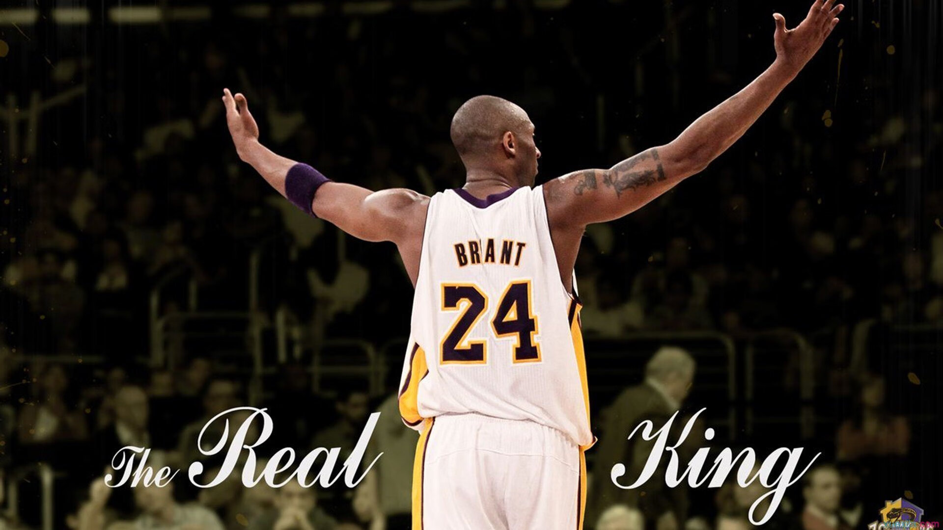 足球解说员培训计划全面展开，足球解说员需要做到哪几点